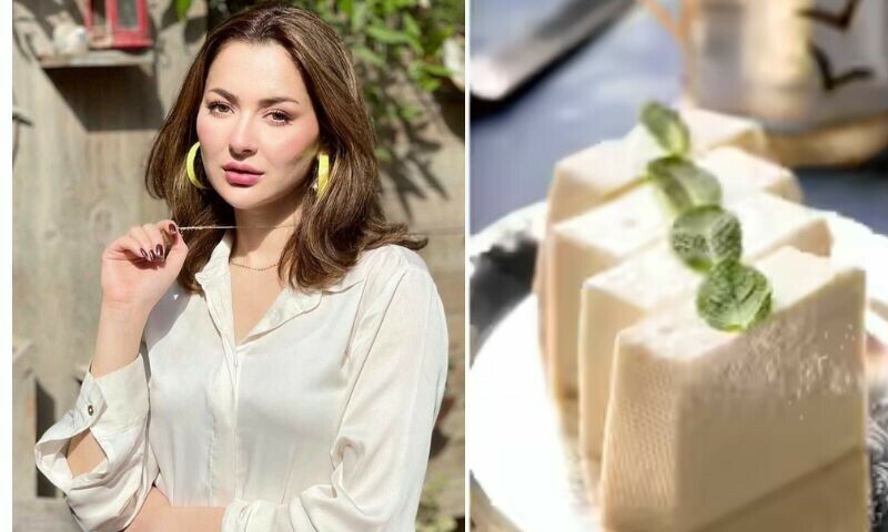 بھارتی نیوز شو میں ہانیہ عامر کا نام بگاڑ دیا گیا